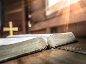 AdobeStock_256164002